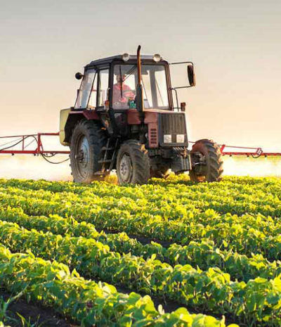 農(nóng)貿行業(yè)